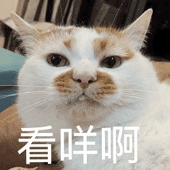 打开门，“跑出去的猫”和“不跑出去的猫”，差别很大！