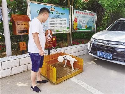 小区为宠物建造公厕狗狗方便有了固定地点