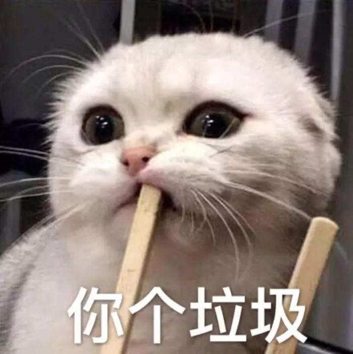 猫：技多不压身，给你表演个穿墙神功吧